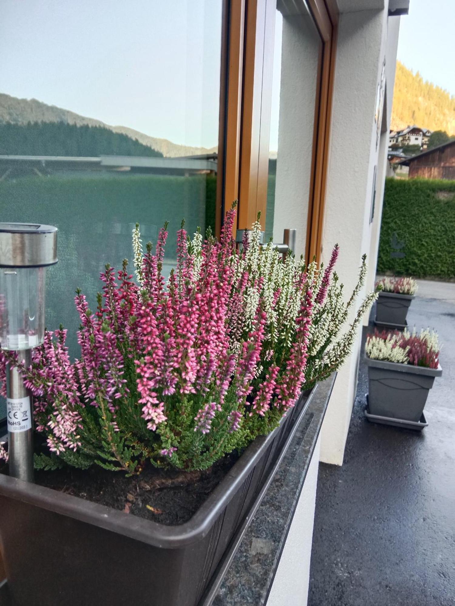Haueis Apartment Tumpen